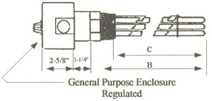 ES2-2041 Steel Sheath Immersion Element 2kw 240v 1ph with 2" N.P.T. Steel Screw Plug - Silver Brazed