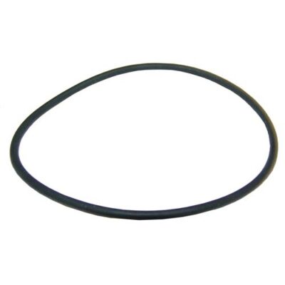 Henny Penny 17453 Pump Gasket