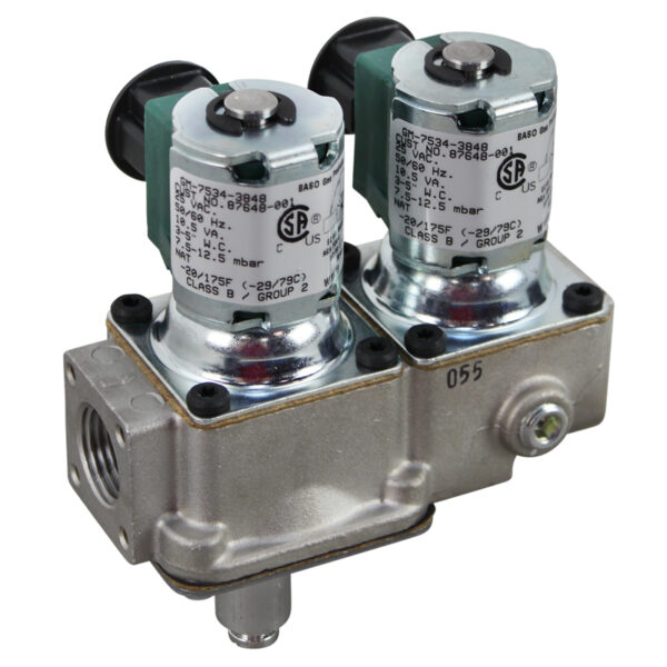 Henny Penny 87648-001 Solenoid Valve Dual